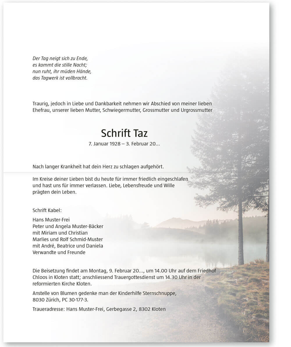 See mit Nebel